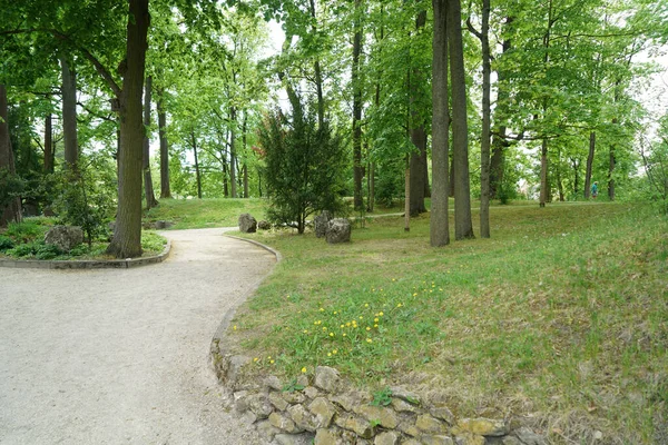 Uma Bela Foto Caminho Parque — Fotografia de Stock