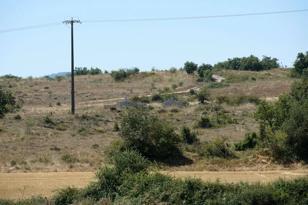 Gündüzleri Ağaçların Olduğu Engin Bir Kurak Bölge — Stok fotoğraf