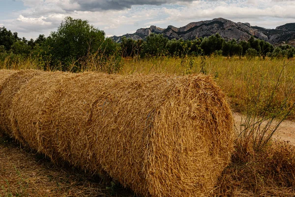 Ένα Κοντινό Πλάνο Του Χρυσού Hayloft Ένα Χωράφι Μετά Συγκομιδή — Φωτογραφία Αρχείου