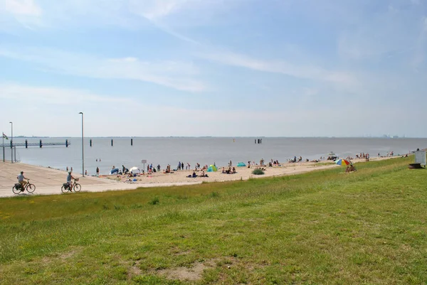 Plaża Ludźmi Pobliżu Pola Pod Jasnym Błękitnym Niebem — Zdjęcie stockowe