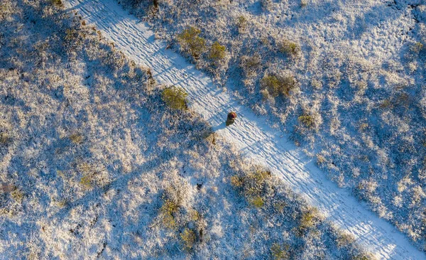 Una Vista Aérea Sobre Nieve Invernal Paisaje Turberas Cubiertas Hielo — Foto de Stock