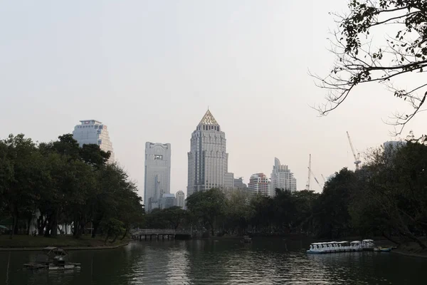 Egy Alacsony Szögletű Felvétel Lumphini Park Bangkok Thaiföld — Stock Fotó