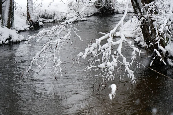 Tiro Escala Cinza Rio Inverno Com Neve Nos Galhos Árvore — Fotografia de Stock