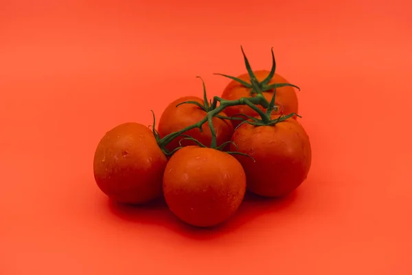 Tiro Close Tomates Frescos Fundo Vermelho — Fotografia de Stock