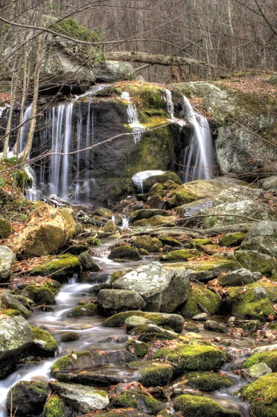 Een Prachtig Verticaal Schot Van Een Waterval Een Herfst Woud — Stockfoto