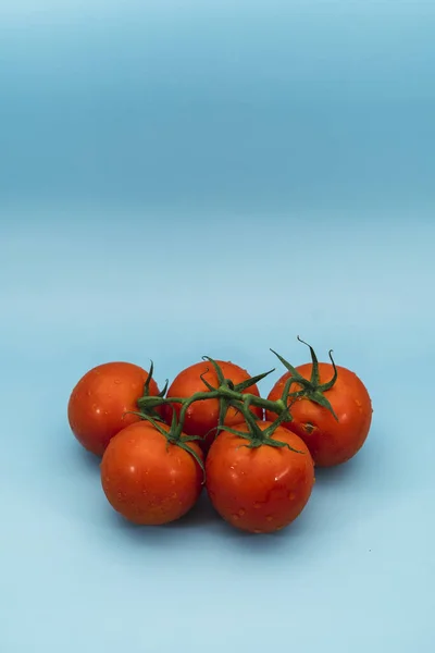 Closeup Shot Fresh Tomatoes Blue Background — Stock Photo, Image