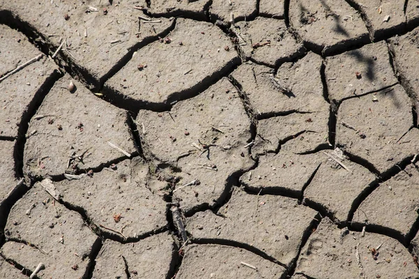 Gros Plan Terre Boueuse Séchée Avec Texture Fissurée — Photo