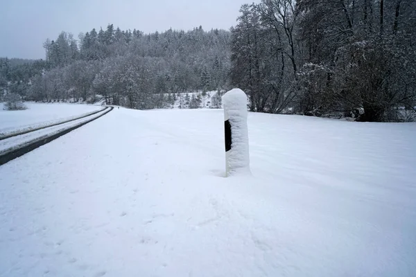 Una Hermosa Toma Camino Invierno Árboles Con Nieve — Foto de Stock