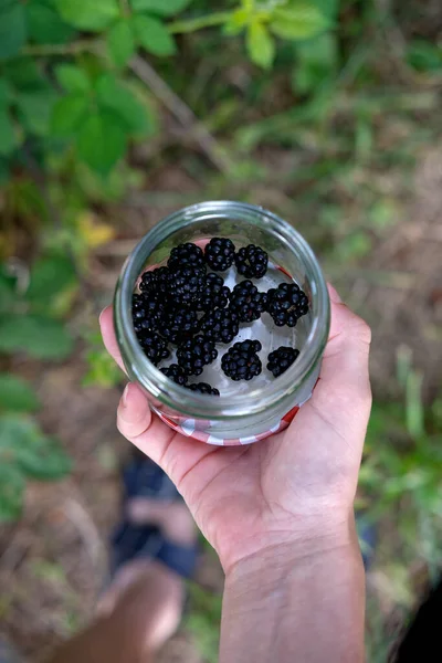 一个男人手拿着一罐新鲜的黑莓的垂直镜头 — 图库照片