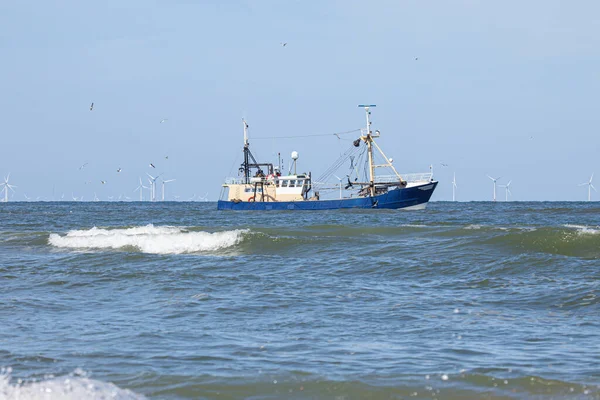 Shrimp Cutter North Sea — Stock Photo, Image