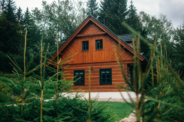 Zbliżenie Ujęcia Drewnianego Domu Lesie Pochmurny Dzień — Zdjęcie stockowe