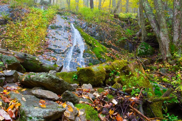 Piękny Strzał Wodospadu Jesiennym Lesie — Zdjęcie stockowe