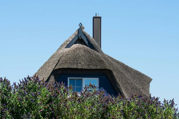 Usedom Tyskland Aug 2020 Usedom Tyskland Augusti 2020 Ett Typiskt — Stockfoto