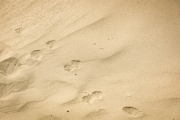 Eine Sandstruktur Mit Spuren Für Hintergründe — Stockfoto