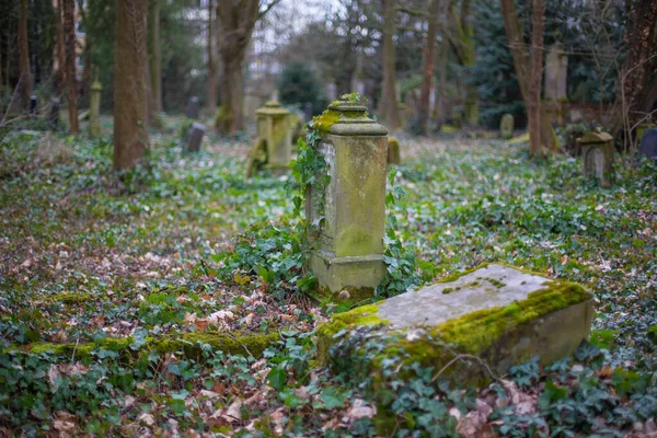 Una Lápida Con Hiedra Antiguo Cementerio — Foto de Stock