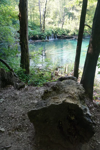 Een Shot Van Pittoreske Meerkust Groen Kroatië — Stockfoto