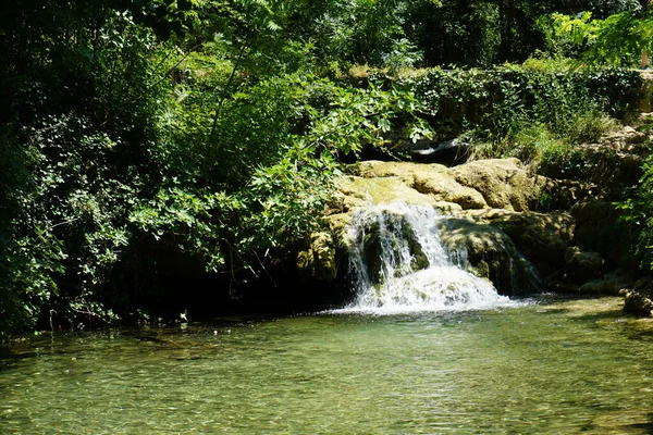 Een Kleine Waterval Een Groen Bos — Stockfoto