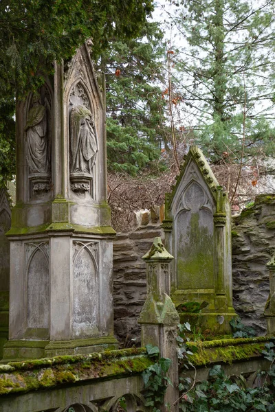 墓碑前墓地上有常春藤的墓碑 — 图库照片