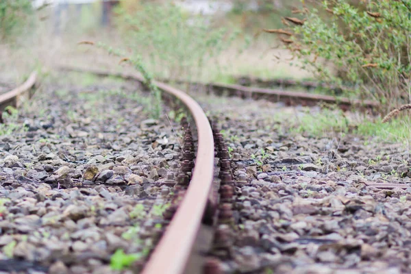 Bir Demiryolunun Seçici Odak Solucanının Bakış Açısı — Stok fotoğraf