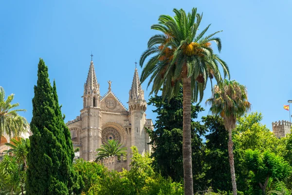 Palma Mallorca Spain Jul 2020 Palma Mallorca Spain July 2020 — 스톡 사진