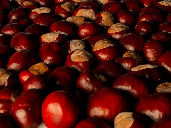 Closeup Stacked Chestnuts — Stock Photo, Image