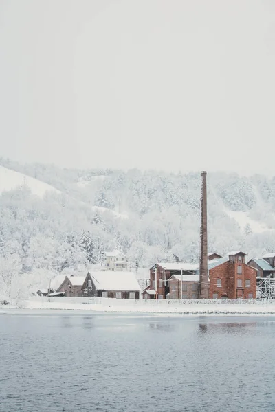 美丽的冬季风景 湖岸上有白雪覆盖的树木和建筑物 — 图库照片