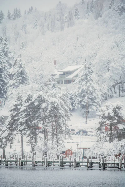 Прекрасний Зимовий Пейзаж Засніженими Деревами Будівлями Березі Озера — стокове фото