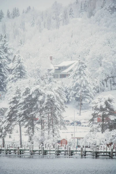 Bellissimo Paesaggio Invernale Con Alberi Innevati Edifici Sulla Riva Del — Foto Stock