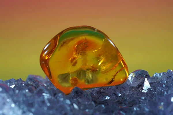 Closeup Shot Amber Trapped Insects — Stock Photo, Image