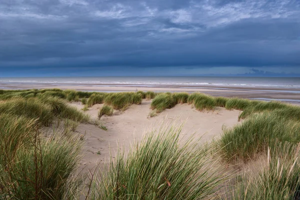 Beautiful Shot Grass Growing Sand Beach Blue Sky — Stock Photo, Image
