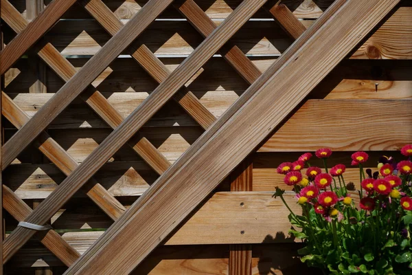 Een Van Hout Barrière Bloemen — Stockfoto