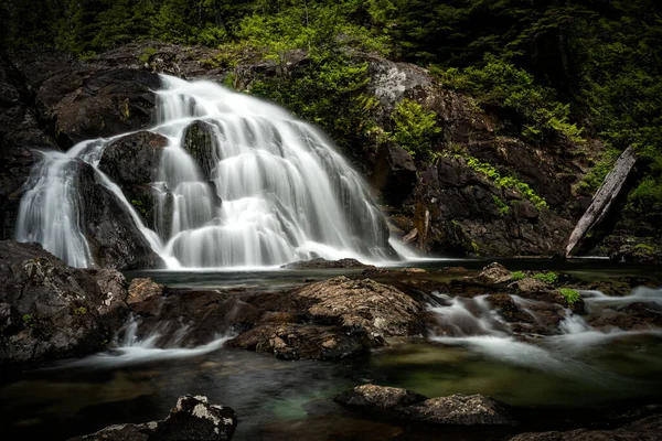 Walbran Falls Περιβάλλεται Από Πράσινο Στο Carmanah Walbran Provincial Park — Φωτογραφία Αρχείου