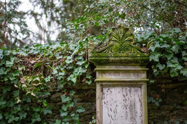 Una Lápida Con Hiedra Antiguo Cementerio — Foto de Stock