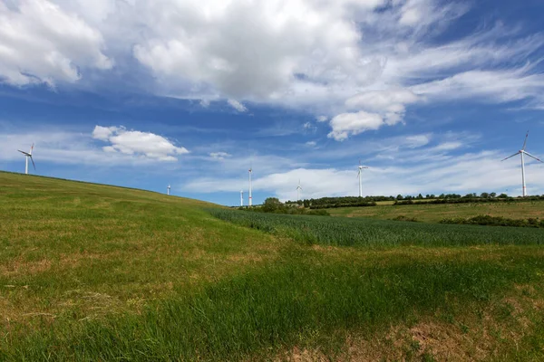 Smukt Sommerlandskab Med Vindmøller - Stock-foto