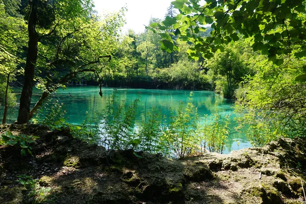 Lago Pitoresco Rodeado Folhagem Croácia — Fotografia de Stock