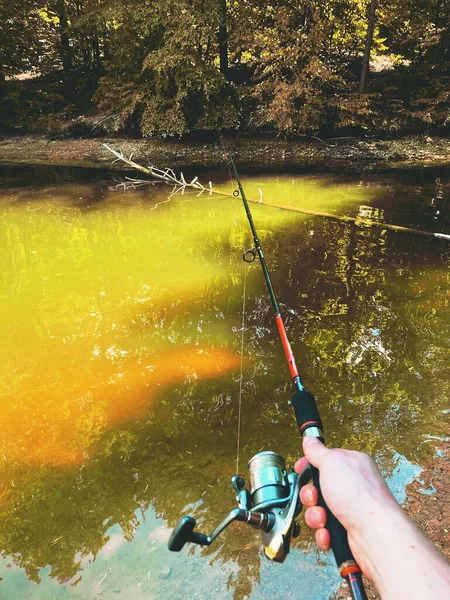 Lago Verde Profundo Spinning Pesca Señuelo Árbol Agua —  Fotos de Stock