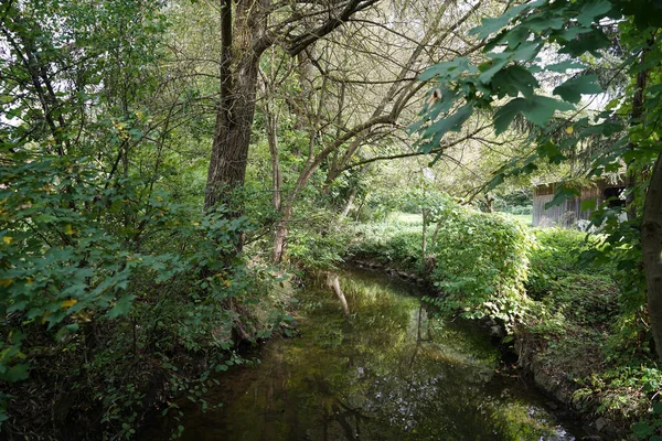 Ein Fluss Inmitten Eines Laubwaldes — Stockfoto