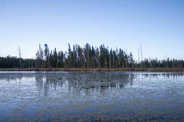 Lago Rodeado Por Árvores Altas Com Céu Azul Sobre Ele — Fotografia de Stock