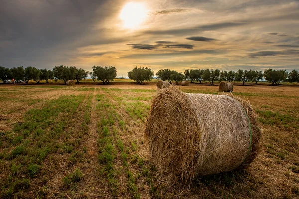 Egy Gyönyörű Lövés Egy Kerek Szénabáláról Mezőn Egy Napsütéses Napon — Stock Fotó