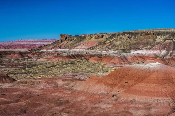 Εικόνα Δείχνει Χρώματα Της Βαμμένης Ερήμου Στο Εθνικό Πάρκο Απολιθωμένου — Φωτογραφία Αρχείου