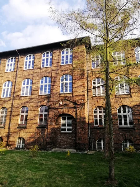 Een Verticaal Shot Van Een Residentieel Gebouw Omringd Door Groen — Stockfoto