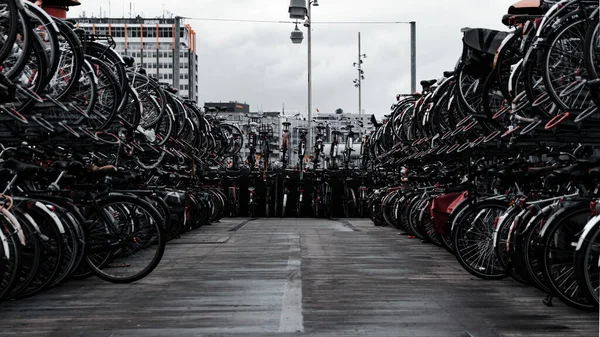 Tiro Close Fileiras Bicicletas Cidade — Fotografia de Stock