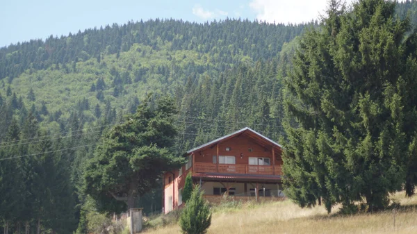 Ein Haus Auf Einem Hügel Mit Einem Wald Hintergrund — Stockfoto