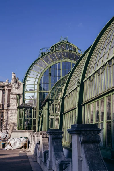 奥地利维也纳皇家花园Schmetterlinghaus的垂直镜头 — 图库照片