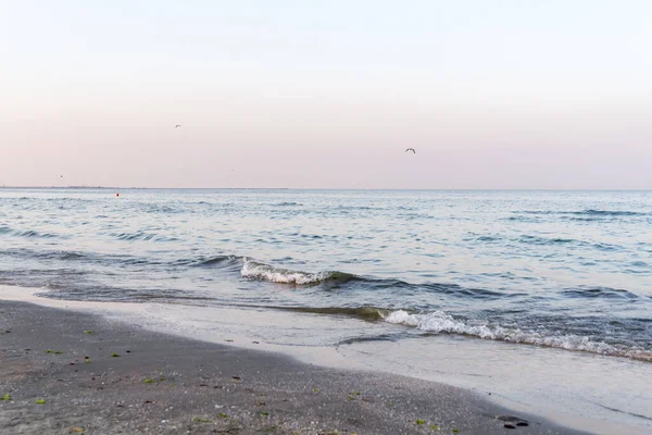 Bellissimo Primo Piano Uno Scenario Spiaggia Serale Constanta Romania — Foto Stock