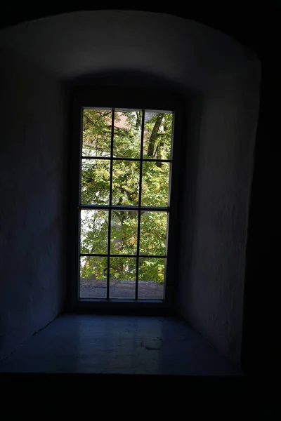 Eine Vertikale Aufnahme Eines Fensters Mit Blick Auf Den Garten — Stockfoto