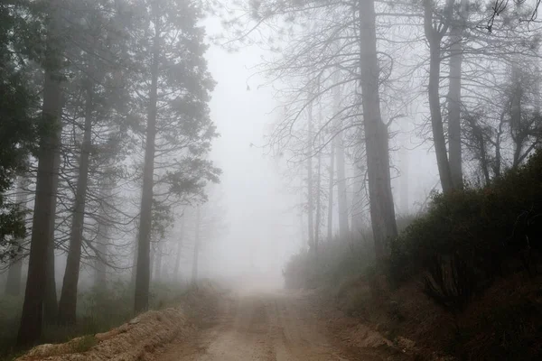 一条穿过雾蒙蒙的山间的土路 — 图库照片