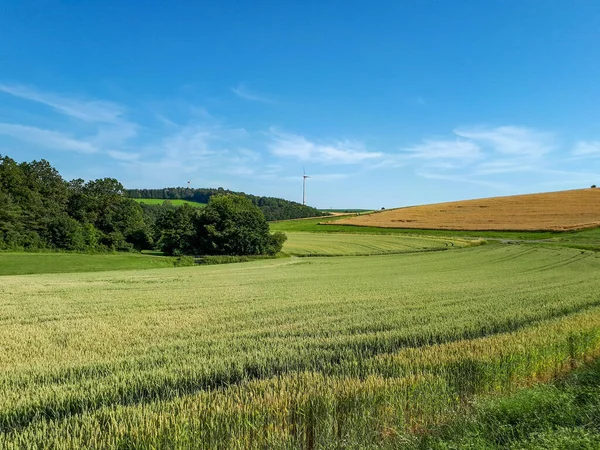 Ландшафт Поля Покрытого Зеленью Солнечным Светом Голубым Небом Насосе Германия — стоковое фото