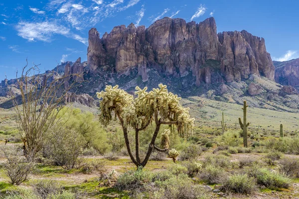 Image Shows Chain Fruit Cholla Plant Foreground Characteristic Butte Lost — Stock Photo, Image