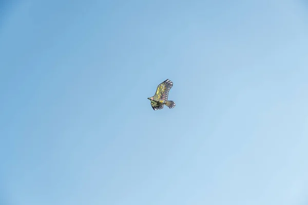 Gros Plan Dessous Cerf Volant Forme Oiseau Dans Air — Photo